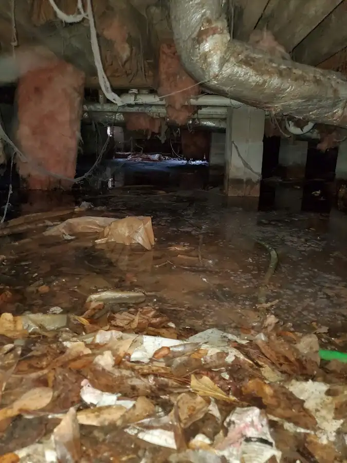 Crawl space flood assessment for Leak Detection & Repair in Wilmer
